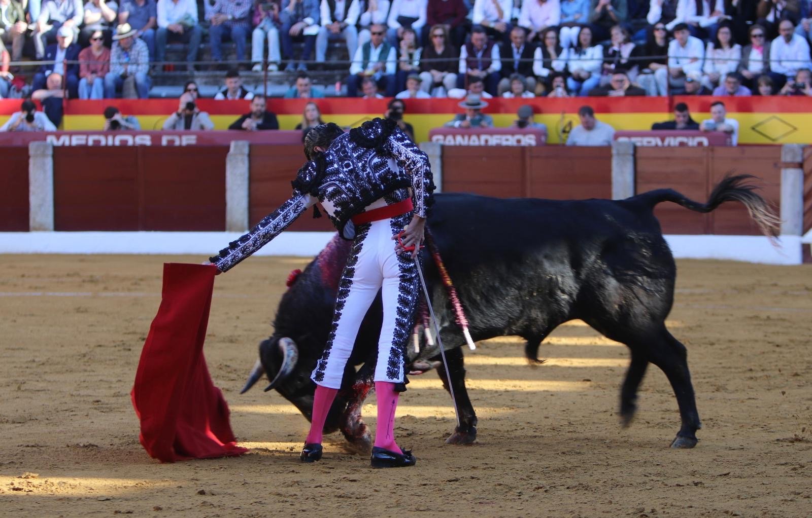 f8da271c 1a90 42a4 9cf3 16bb83a84c86