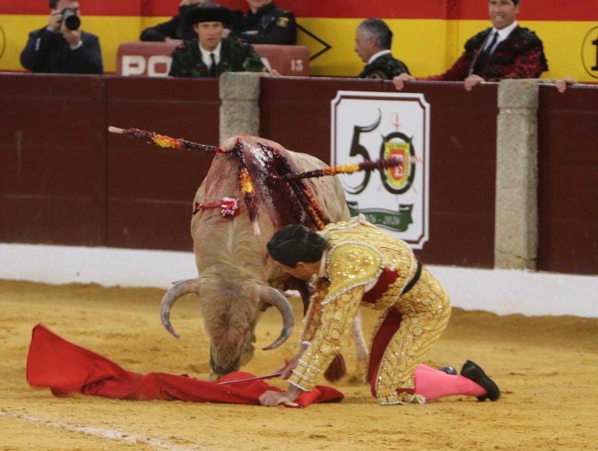 f943a65b 2c16 4df9 9816 258a0f2cce21