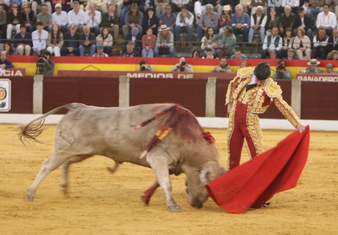 fee4e45c 7174 449a ae02 232defc3f70f