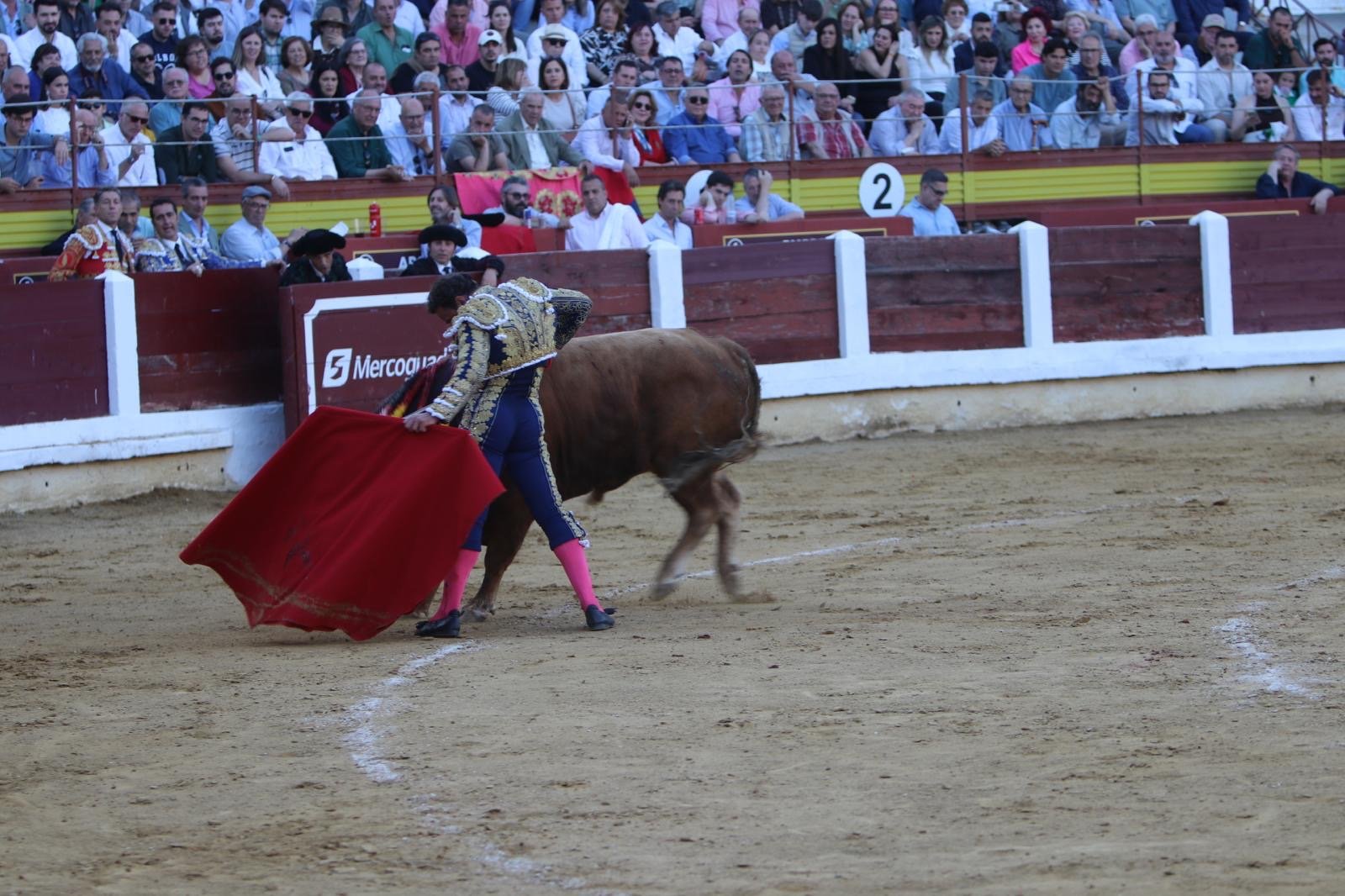 0ad84b46 762d 47f8 8dff fff8dd683154