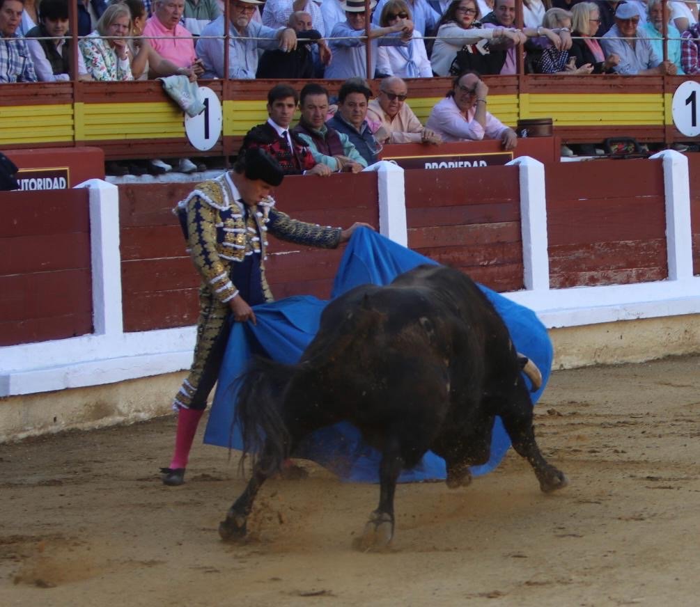 0e166b2f 7b6b 448a a3d9 b33a493b01cc