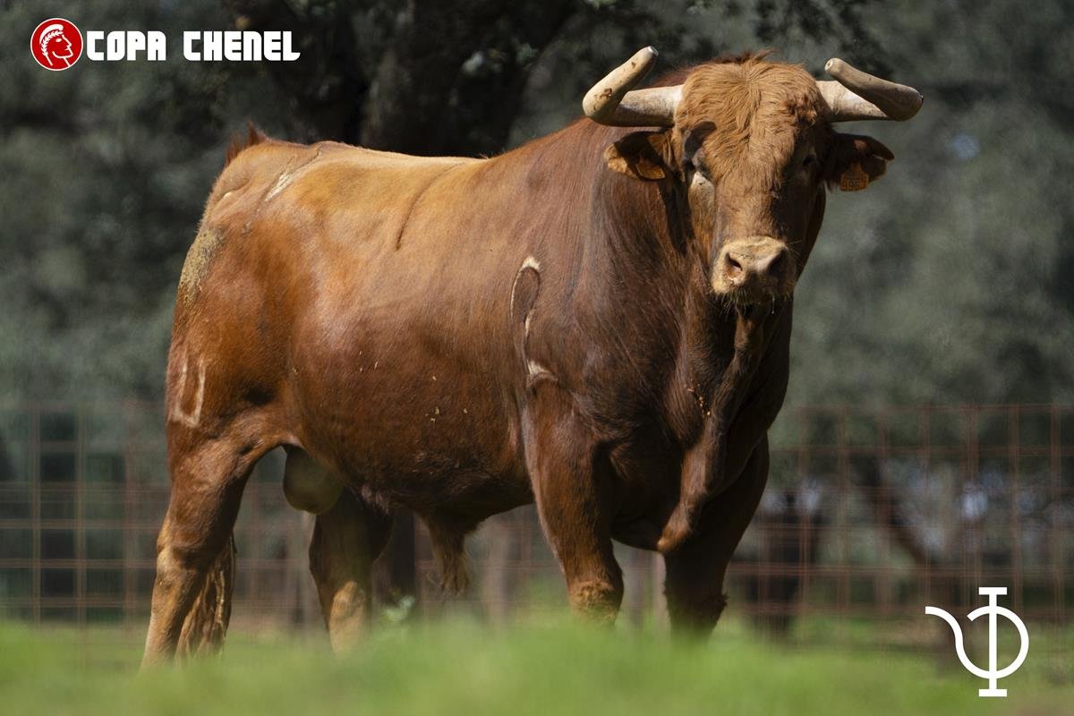 168d2207 3a26 92d7 590d 6212b1ba86ba