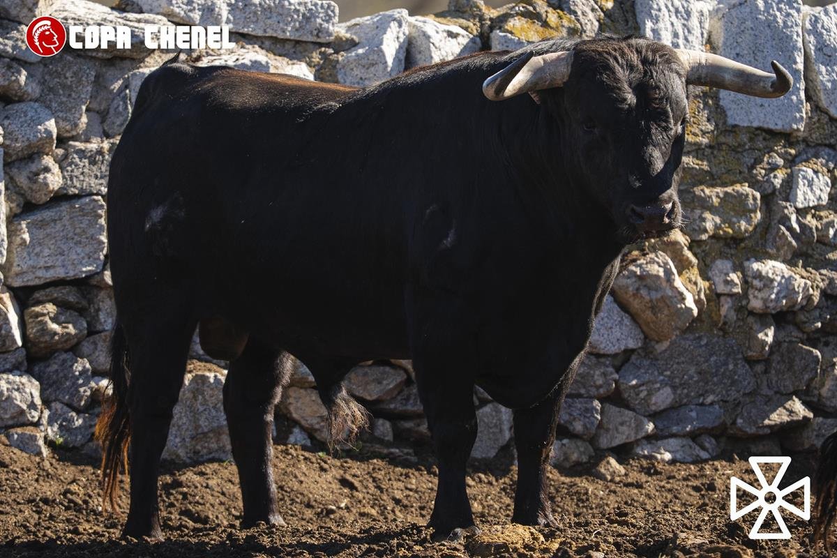 1742fdb4 3de2 a7dd 98a3 0d5fda2ee8ed