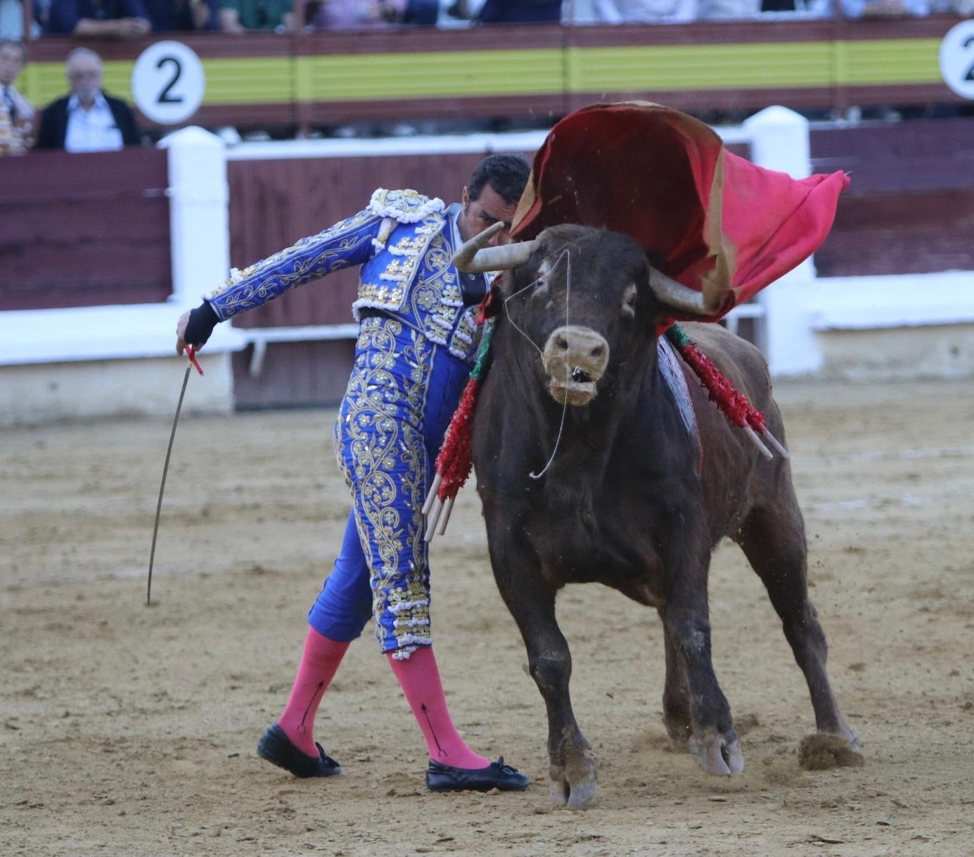 3bb6b331 63ba 48b0 b5a2 6ede0911d1c1