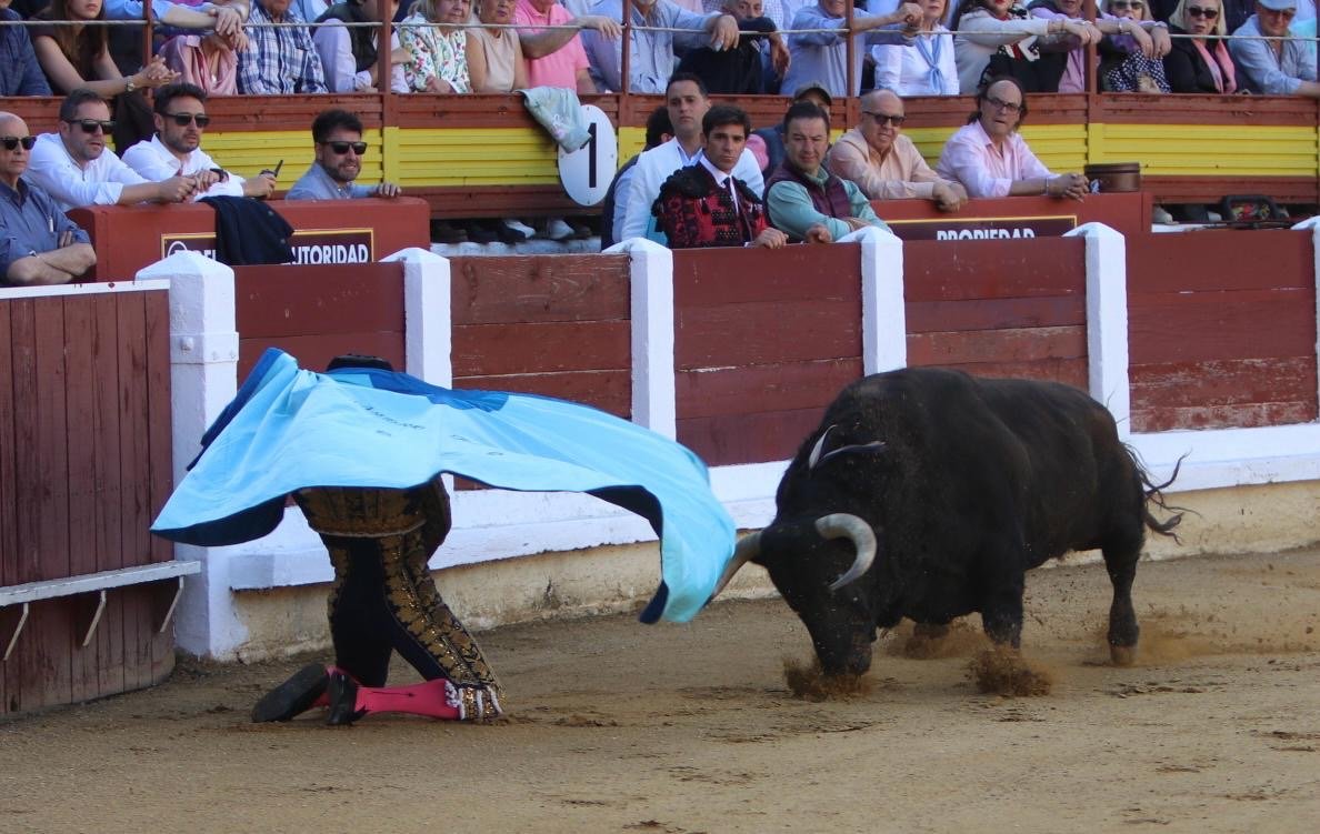 45559311 5e70 4449 821b e9639c77e74f