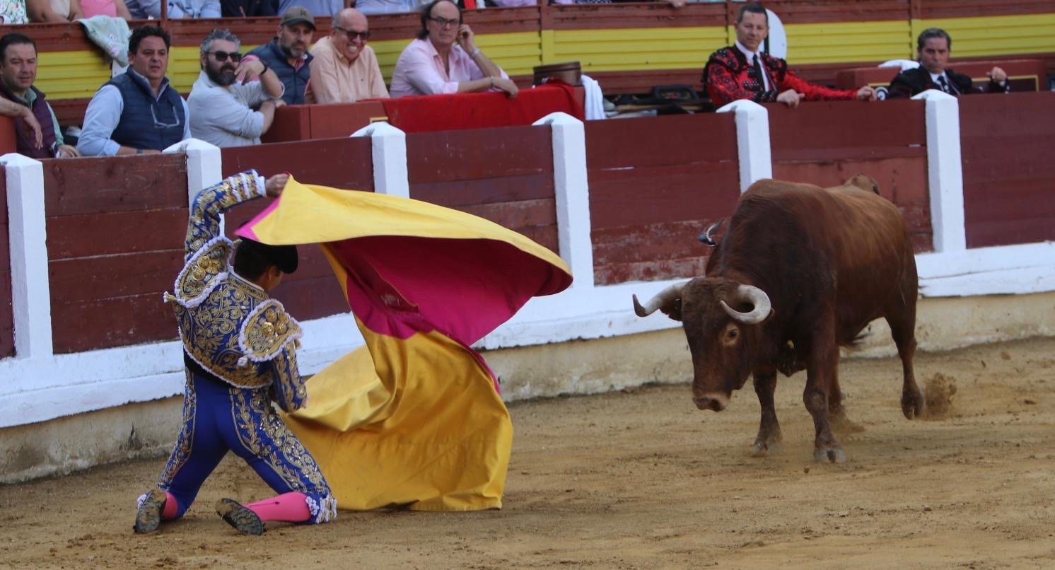 4a87f680 5e40 4878 a792 e5347452c905