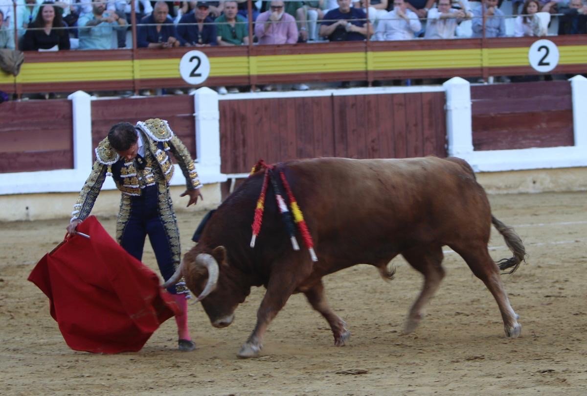 96ae0dc0 c974 4cc8 8513 333373ea0b0d