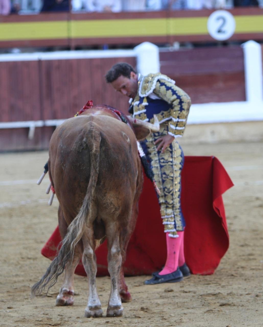 98c21b6d fcf7 498d bdf6 2b3fa7113a9e