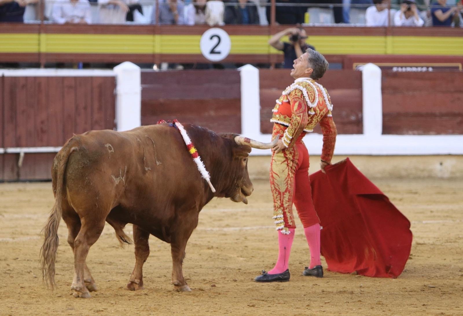 9ae31911 0dc4 4d10 a555 fd0a78e40505