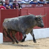 San Agustín de Guadalix 26-04-2026 matinal Toros de Dolores Aguirre Ybarra y José Escolar Gil