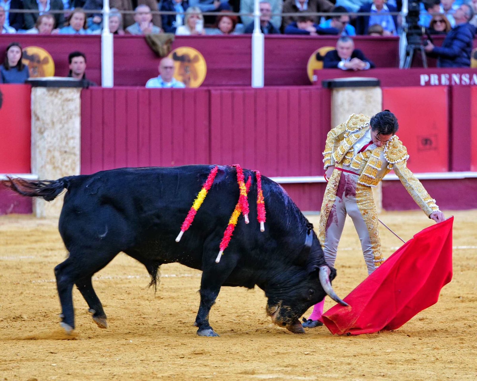 WhatsApp Image 2026 04 04 at 20.16.52 1