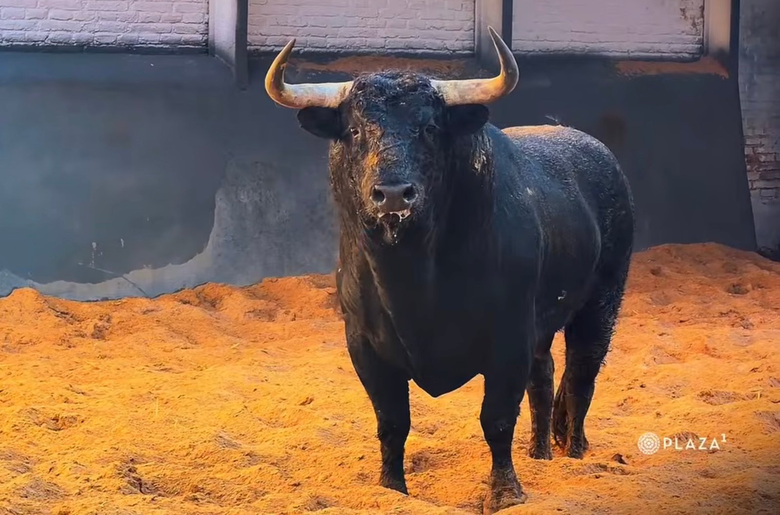 a35fd899 32fb b7b0 217f 0890f0a9eee3