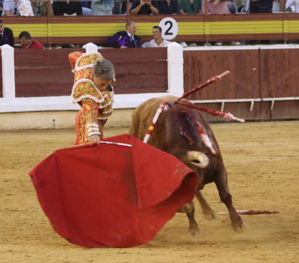 a5d6bb2e ea96 4f56 b8ec 2cf3628da8b1