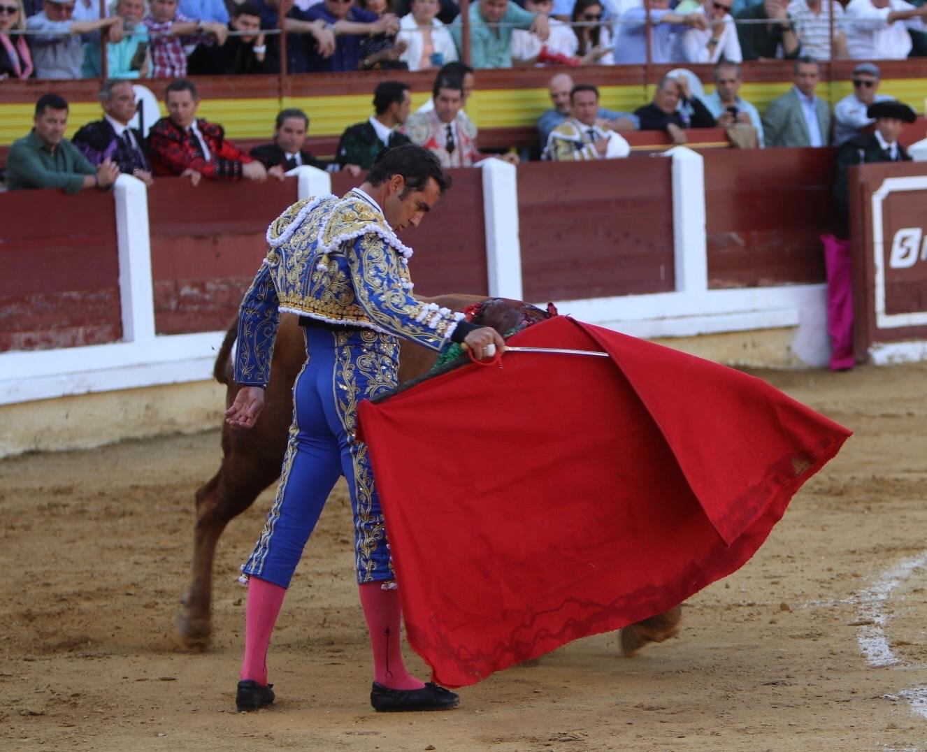 fe001e28 ce49 4cfe 95d7 54a046fa5178