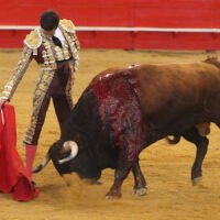 Víctor Hernández oreja y tarde importante de Daniel Crespo en Gamarde (Francia)