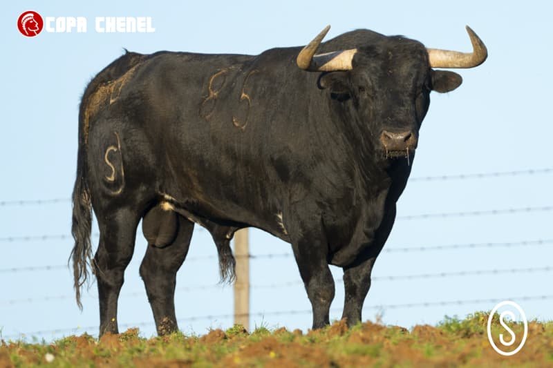 Cortés, El Rafi y Álvaro Burdiel, cartel de lujo este sábado en Algete en la clasificatoria de la Copa Chenel