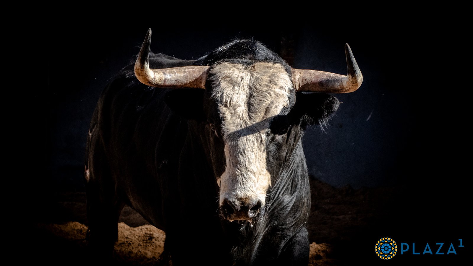Novillos de seis ganaderías madrileñas para el primer festejo de la Feria de la Comunidad