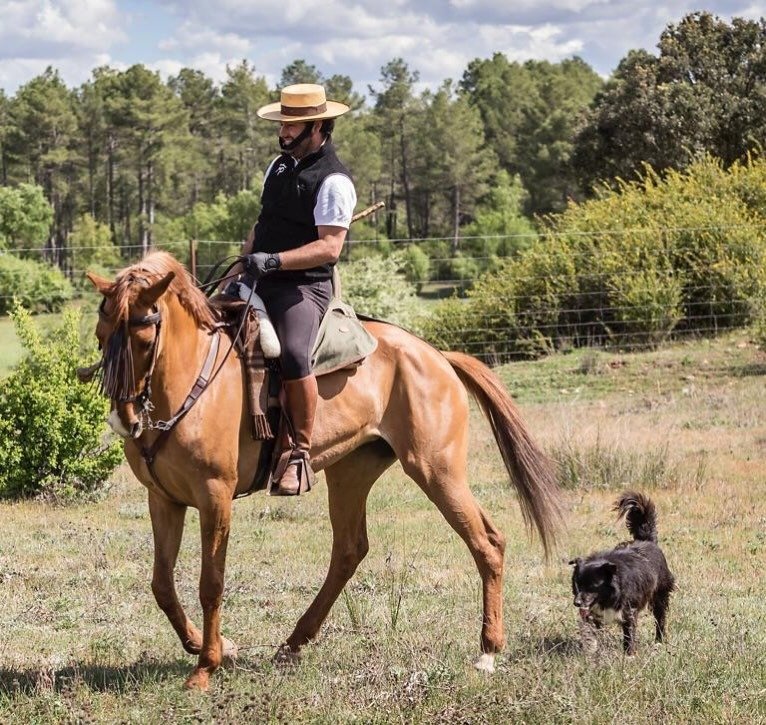 La ganadería conquense Pedro Miota debutará con novillada picada en San Julián: “Es un sueño hecho realidad”