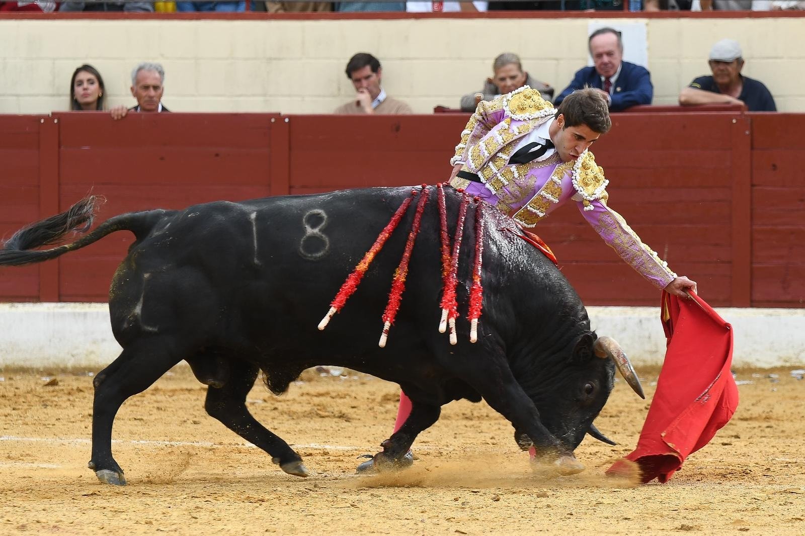 Gran dimensión de Fernando Plaza, oreja para Juan Miguel y herido Alberto Durán en última clasificatoria de la Copa Chenel,