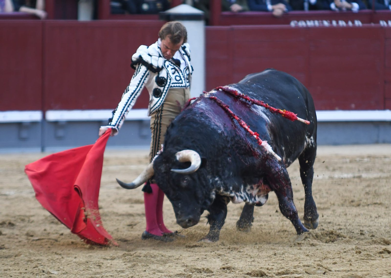 Buena corrida de El Pilar en la que el acero mermó el premio a los tres toreros.