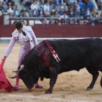 La voluntad de Luque ante el descastamiento.