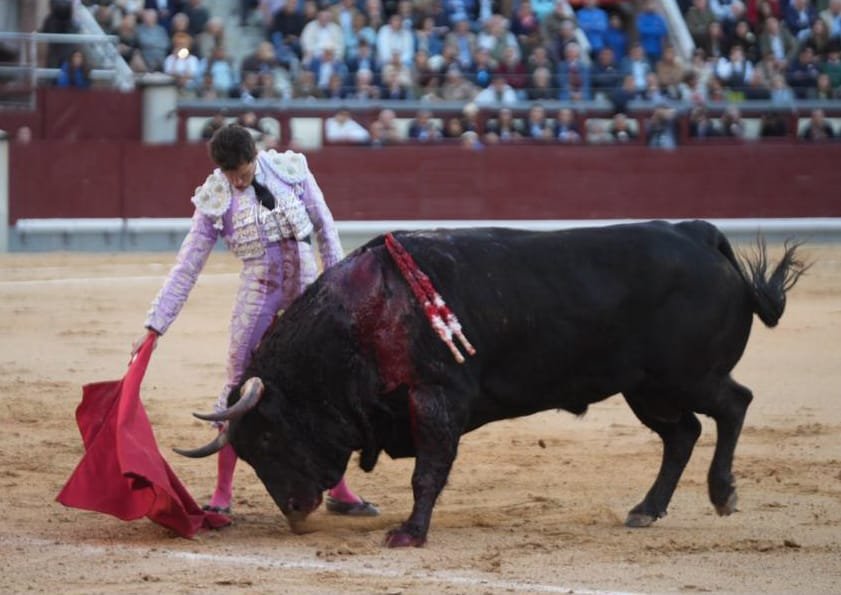 La voluntad de Luque ante el descastamiento.