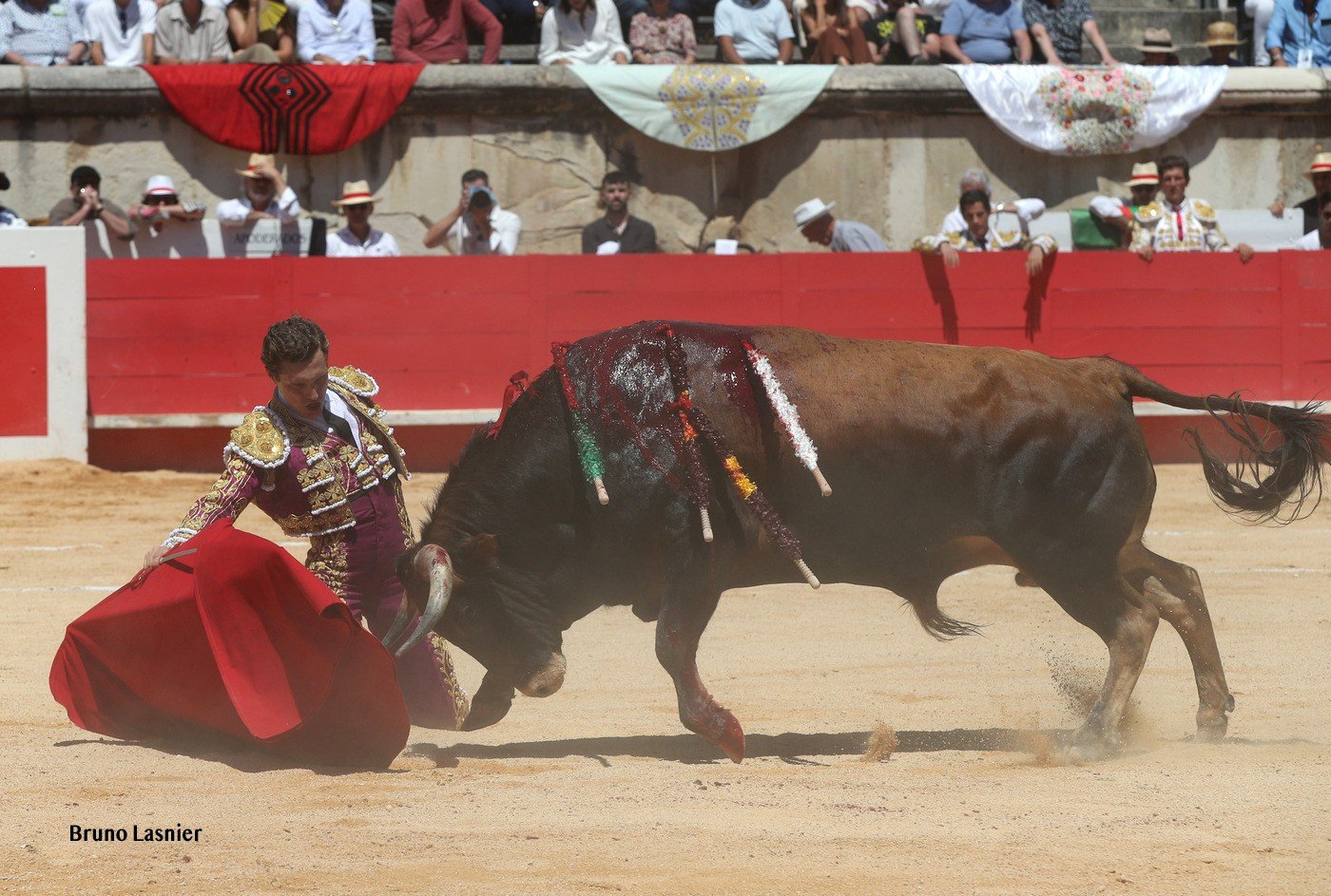 adri3