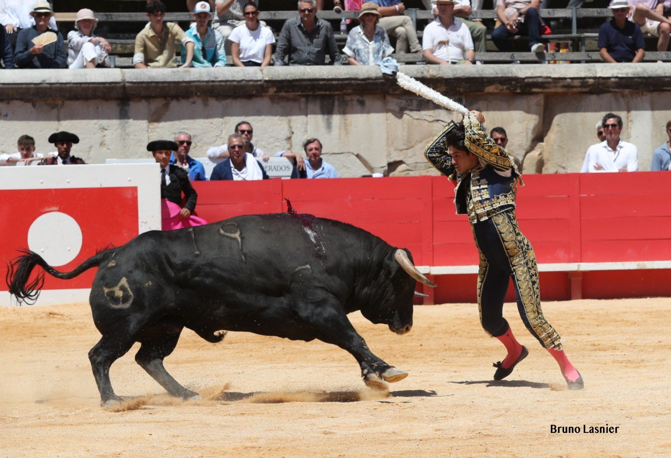 clovis4