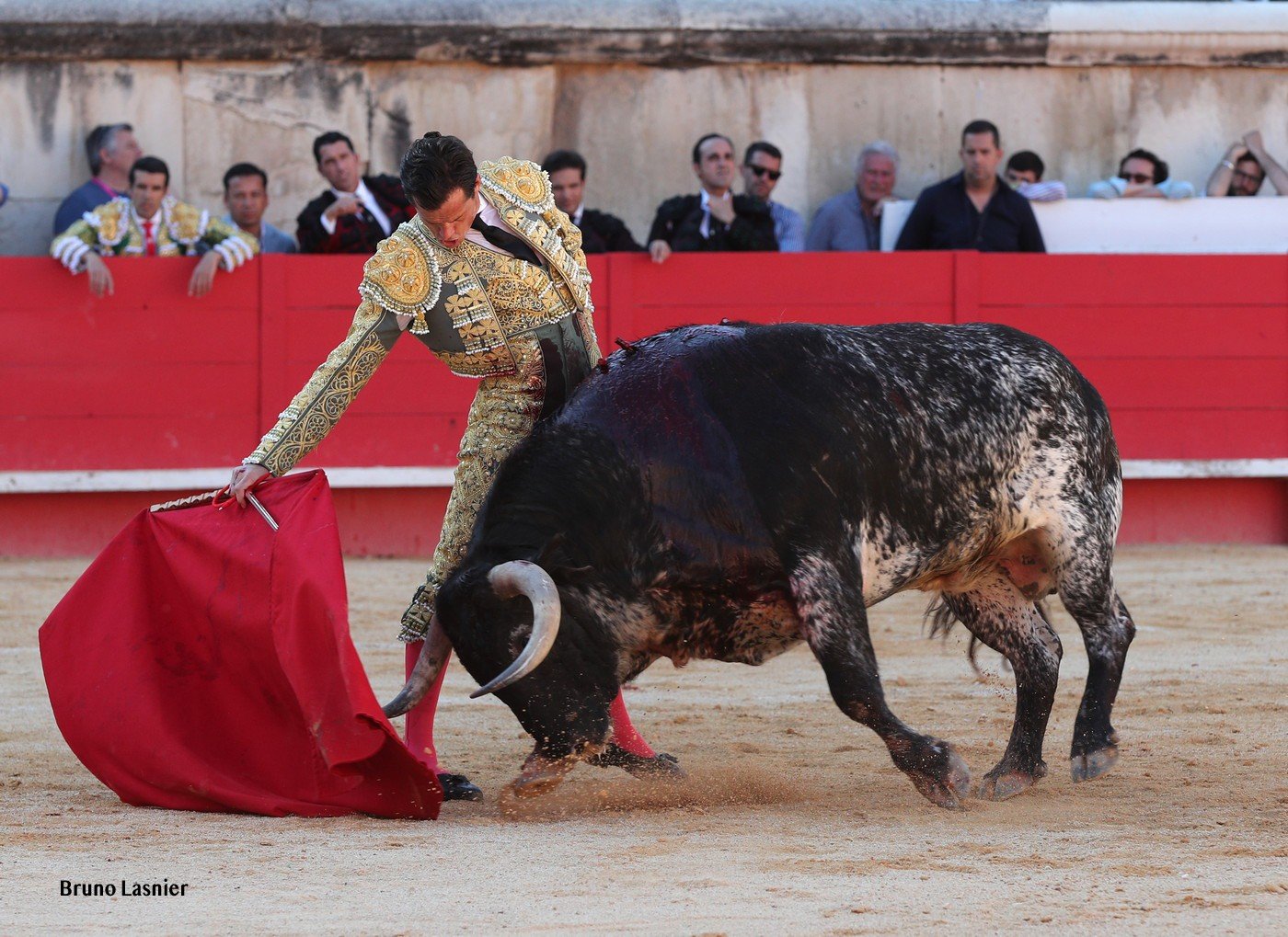 luque3