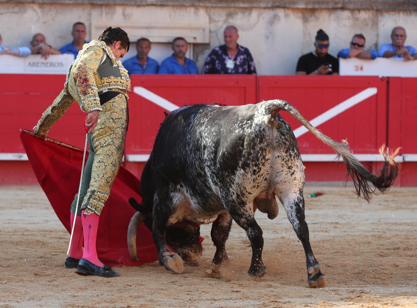 luque6