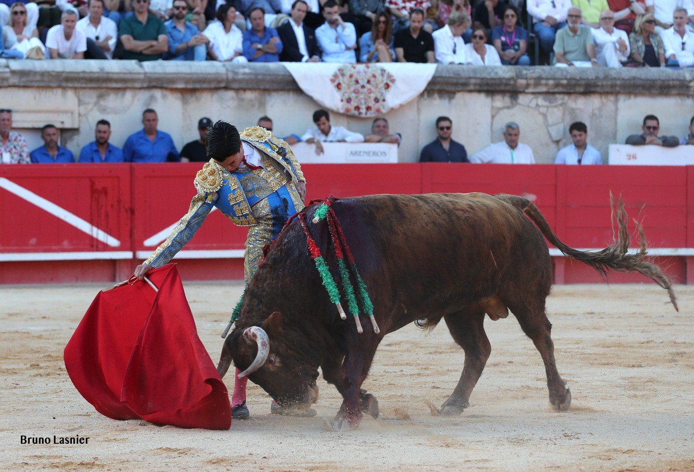 nim26Mperez8