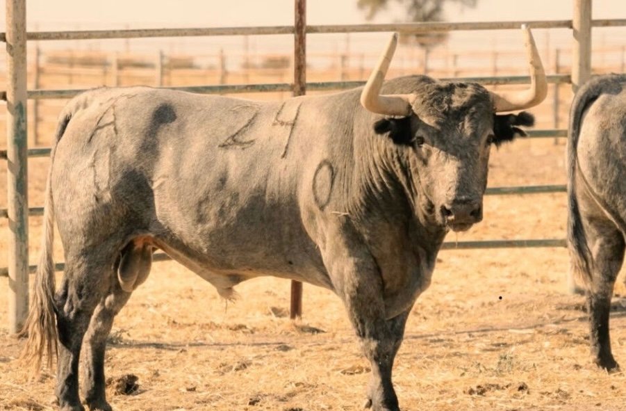 Victorino Martín vuelve a Málaga después de diez años