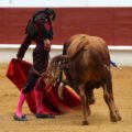 Francia Saint Sever : triunfos Castella y Juan Ortega bajo el diluvio