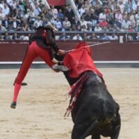 Cara y cruz de un entregado Clemente