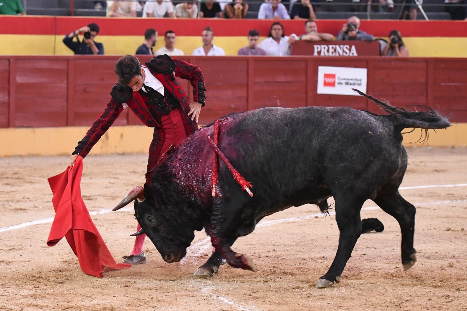 ALEJANDRO MARCOS 2