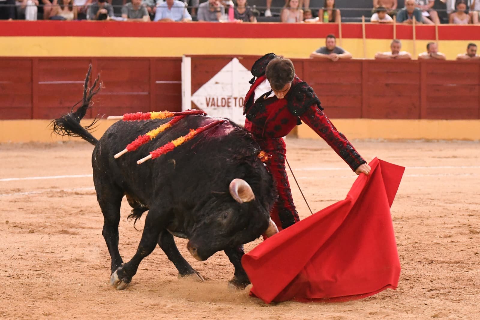 ALEJANDRO MARCOS 3