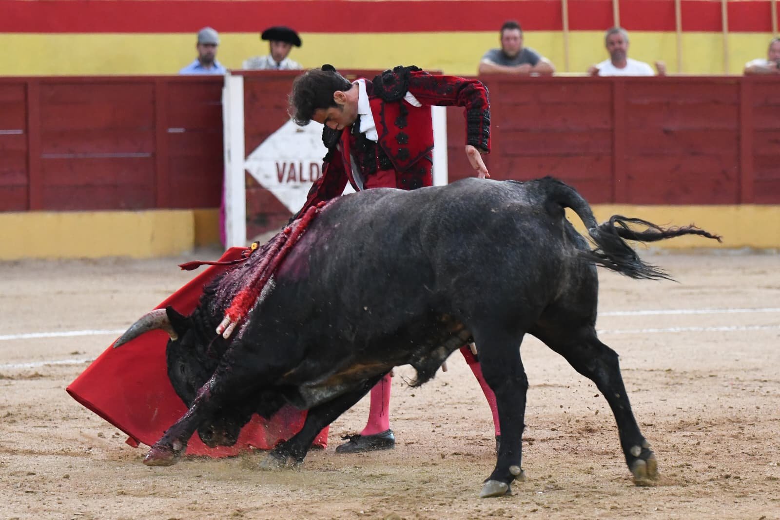 ALEJANDRO MARCOS 4