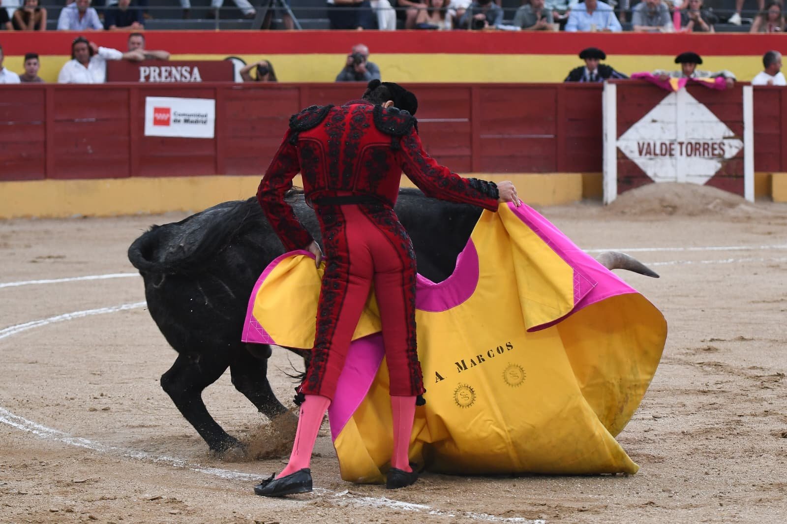 ALEJANDRO MARCOS 5