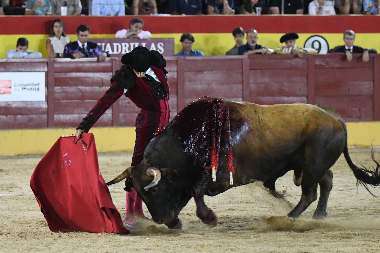 ALEJANDRO MARCOS 6