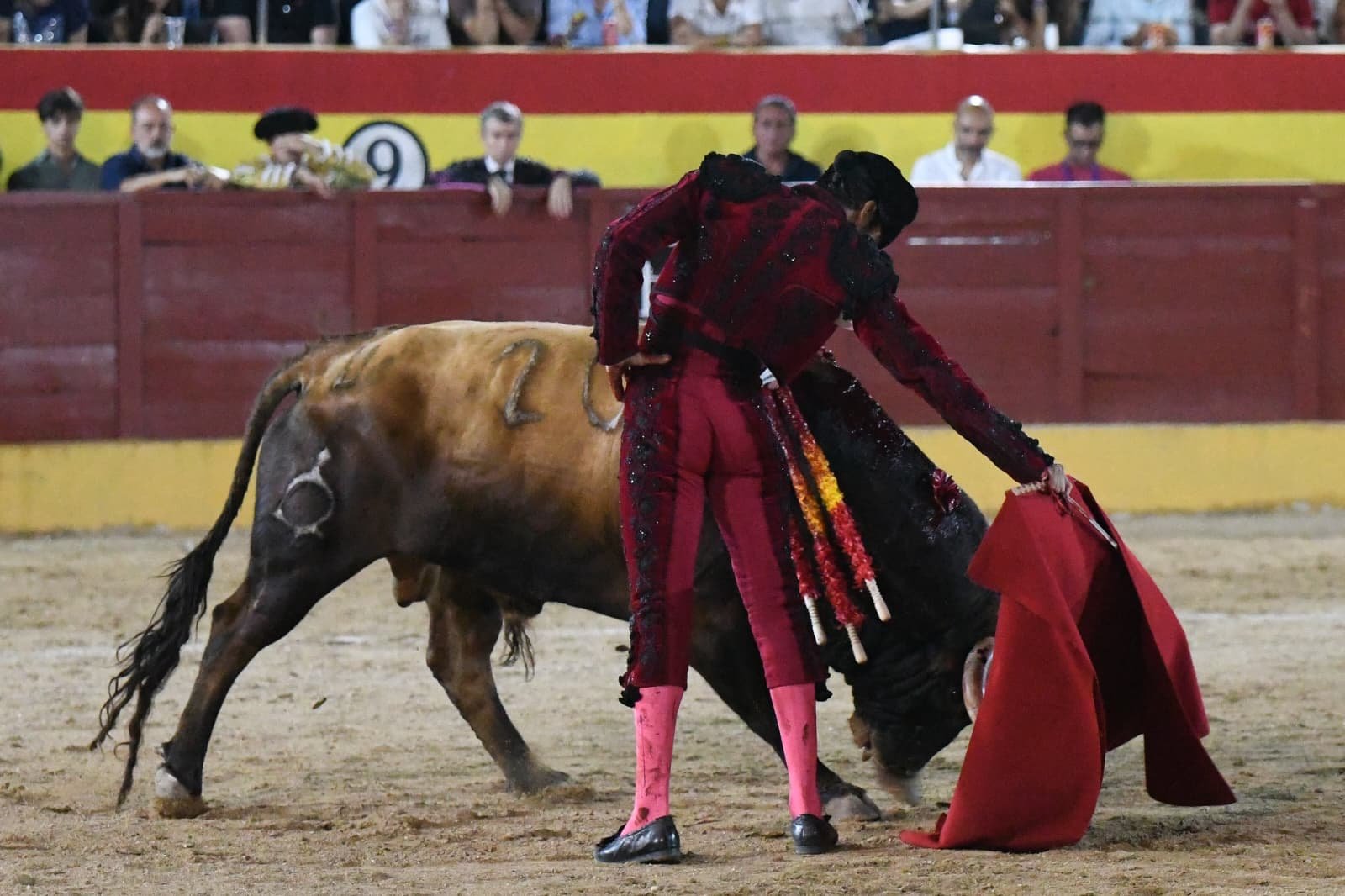 ALEJANDRO MARCOS 7