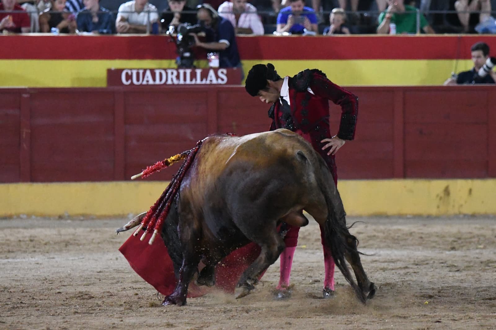 ALEJANDRO MARCOS 8