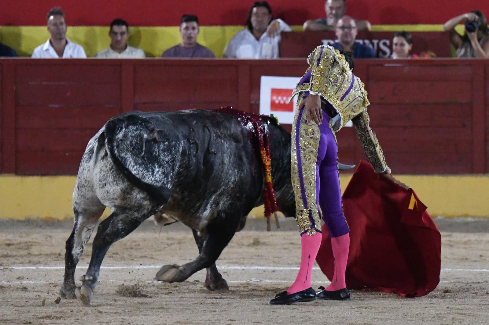DIOSLEGUARDE 2