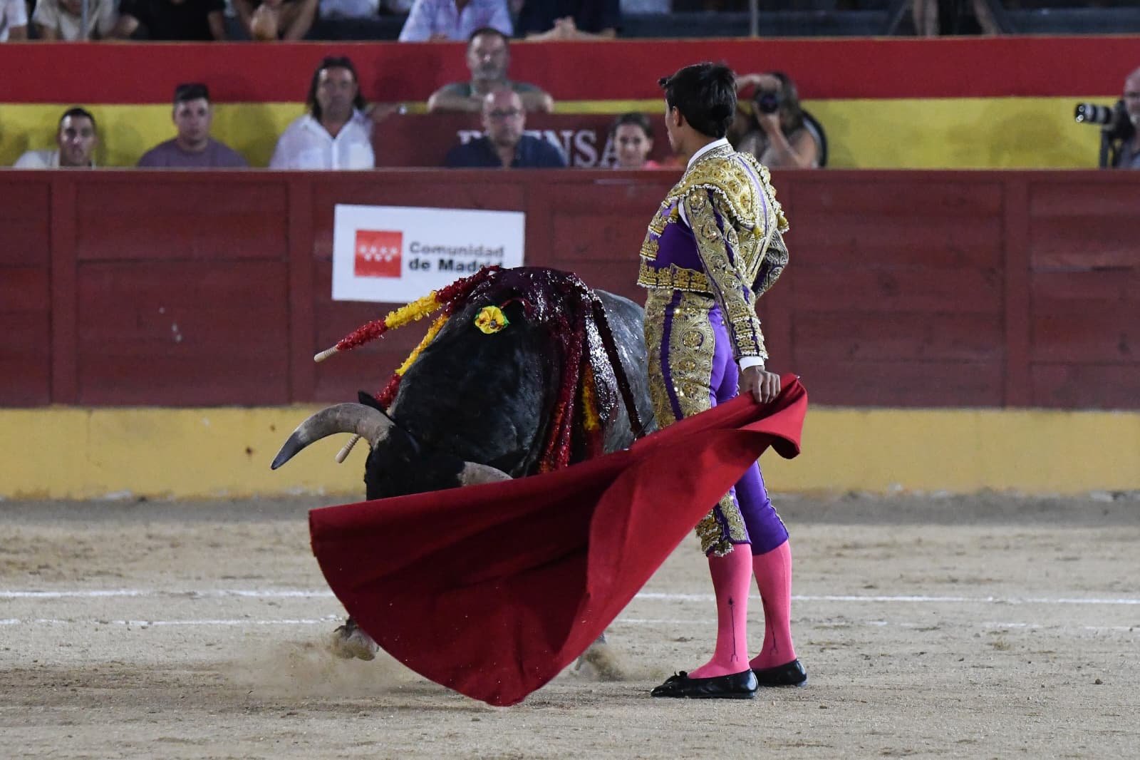 DIOSLEGUARDE 3