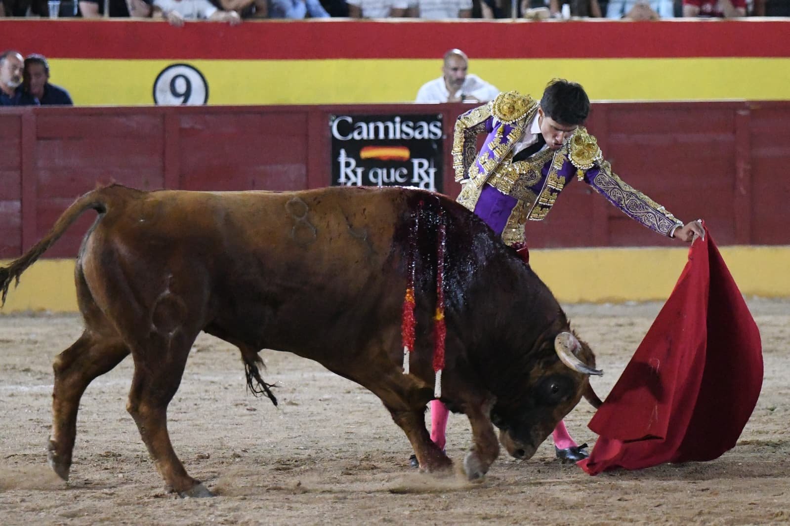 DIOSLEGUARDE 6
