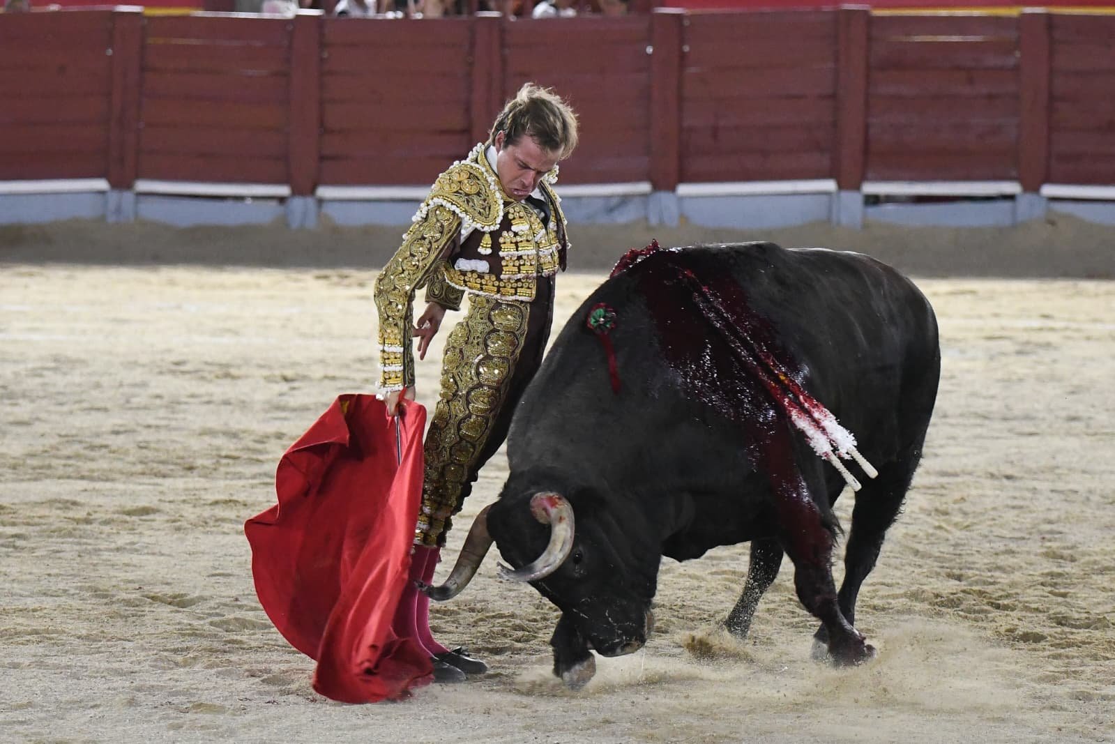 JAVIER CORTES 7