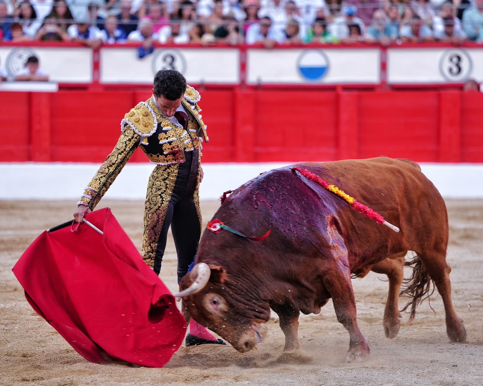 David de Miranda pasea la única oreja de la tarde en la cuarta de abono en Santander