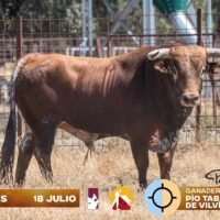 Vinaròs abre el camino hacia el triunfo en el Circuito Valenciano de Novilladas 2026