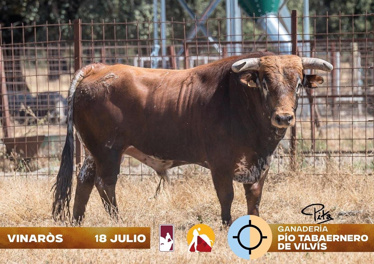 Vinaròs abre el camino hacia el triunfo en el Circuito Valenciano de Novilladas 2026