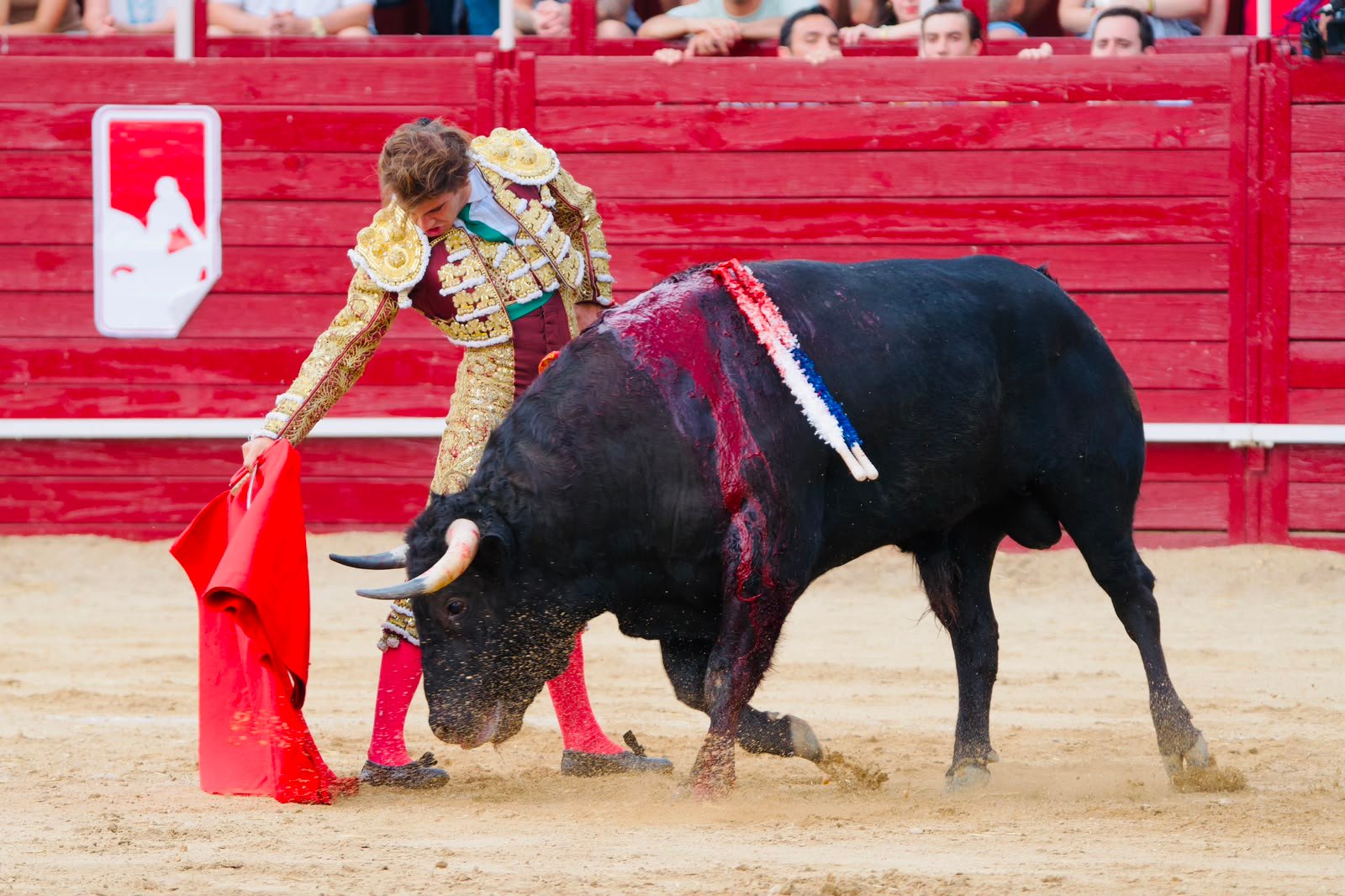 Salvador Herrero corta una oreja en la primera semifinal del Circuito de Castilla y León