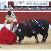 Mont de Marsan : unica vuelta al ruedo por Marco Pérez